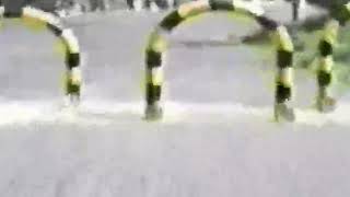 vr1-icatch